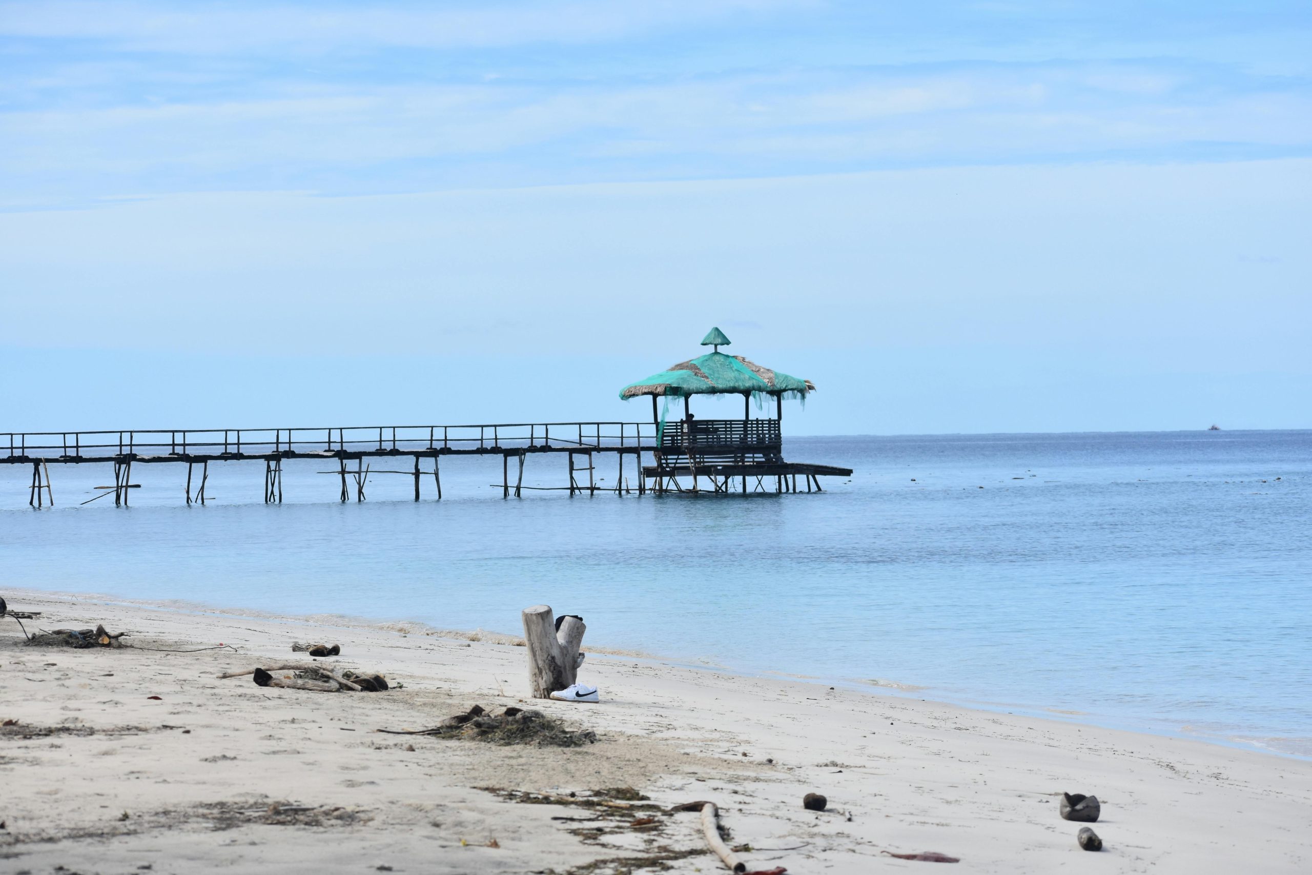 Ilustrasi erek2 kucing mati